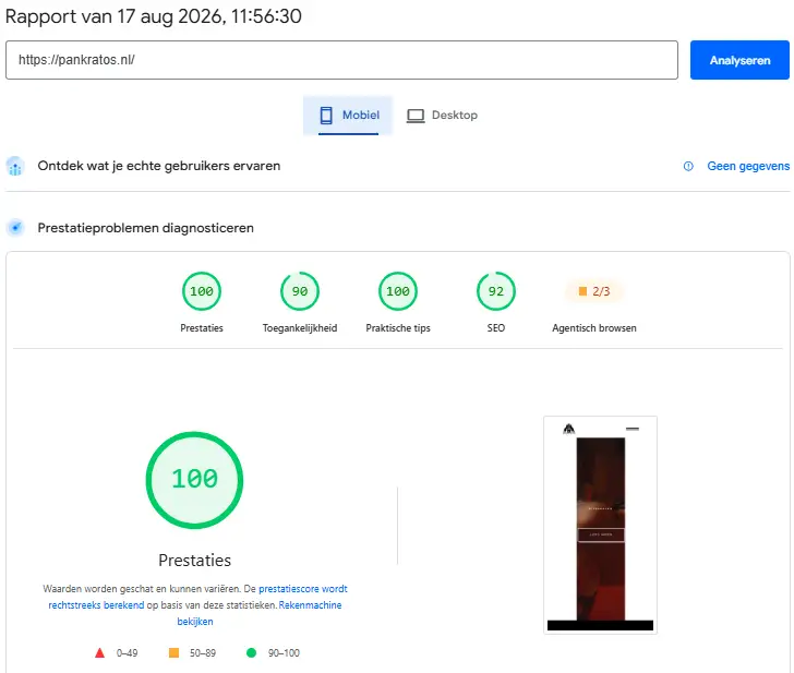 Mobile website after QuickWebify speed optimization