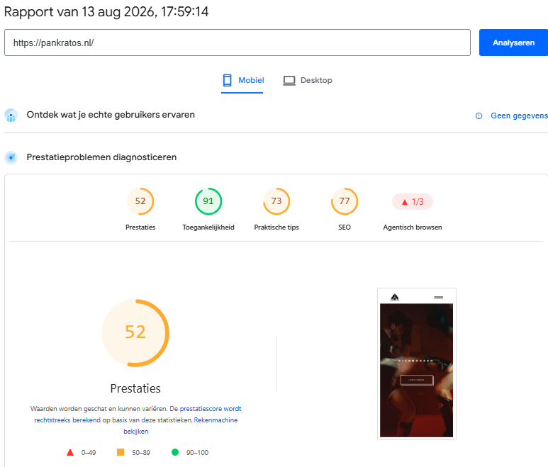 Mobile website before QuickWebify speed optimization